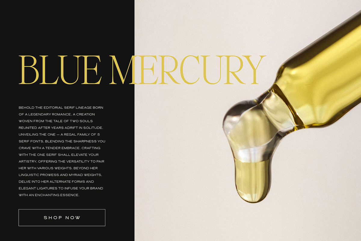 The One Editorial Serif, a Serif Font by Blanc Salváge (Photo 7 of 18)