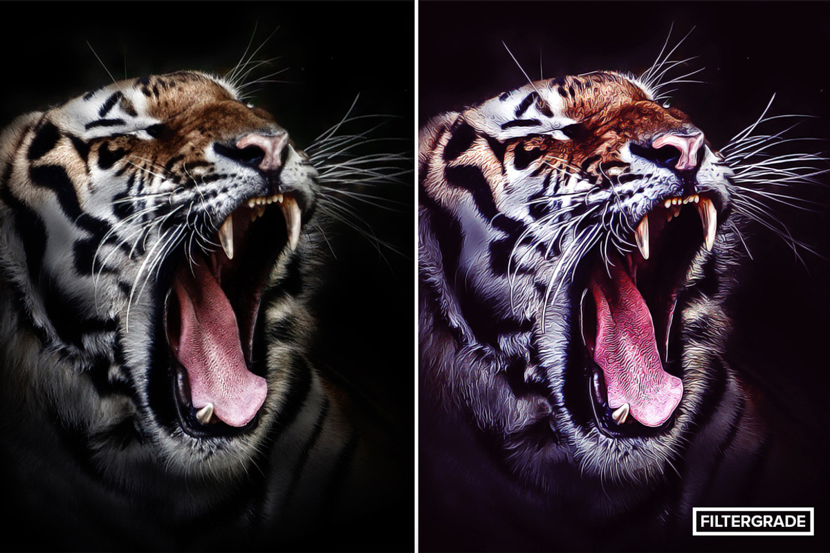 Modern Paint Photoshop Actions, an Action Add-On by FilterGrade (Photo 3 of 11)