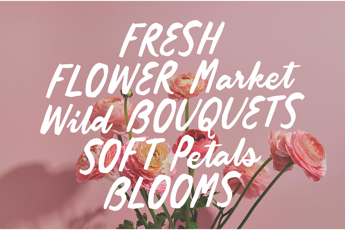 Quiet Petal Handwritten Script, a Handwritten Font by supfonts (Photo 9 of 9)
