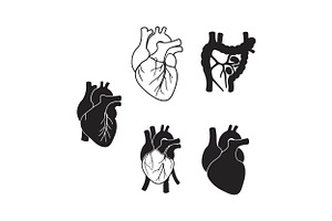 Five anatomical hearts in various st, an Illustration by designvectx