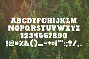 Pine Crest Rustic Serif Font, a Serif Font by Mystik Vision (Thumbnail 4 of 4)