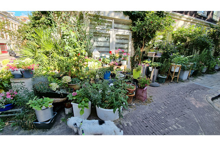 Typical street view with pots of, an Architecture Photo by Beautiful things