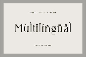 Gallies Ligature Serif Typeface