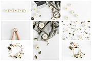 Fall Pumpkins Bundle, a Food & Drink Photo by Floral Deco (Thumbnail 2 of 3)