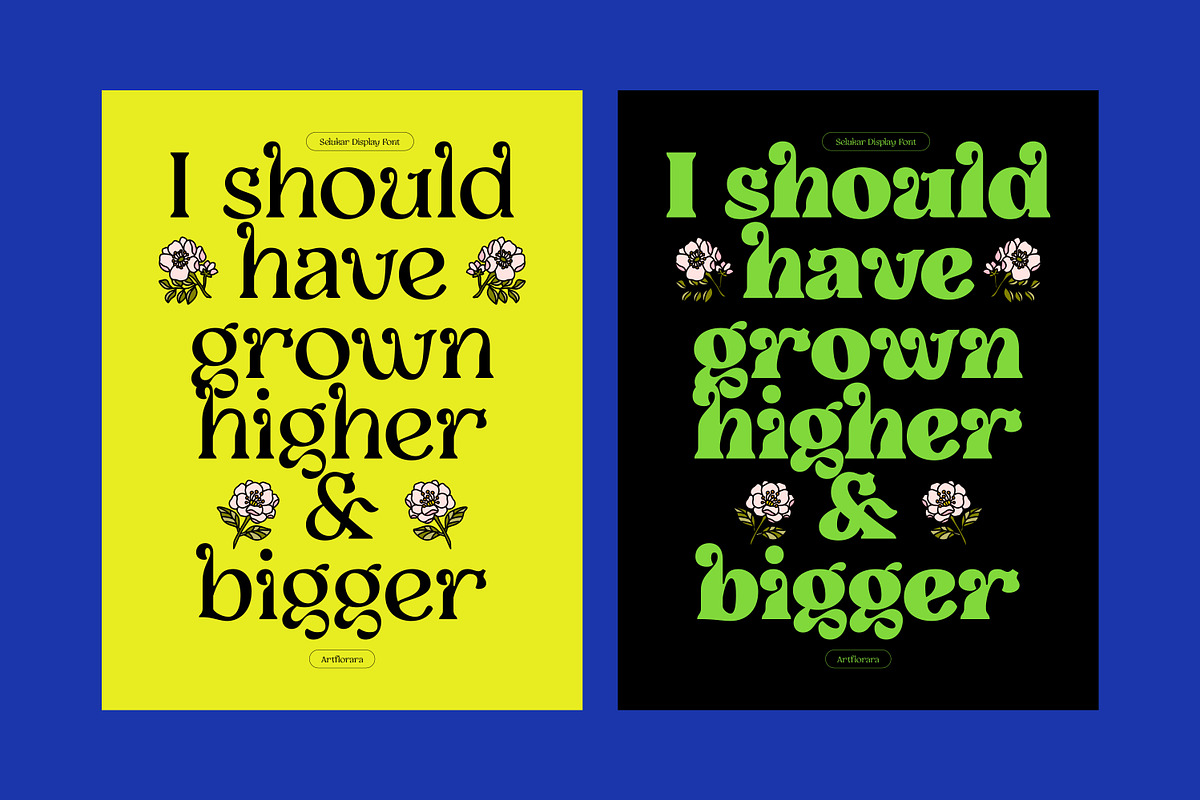 Selukar - Display Variable Font, a Serif Font by Artflorara (Photo 11 of 16)