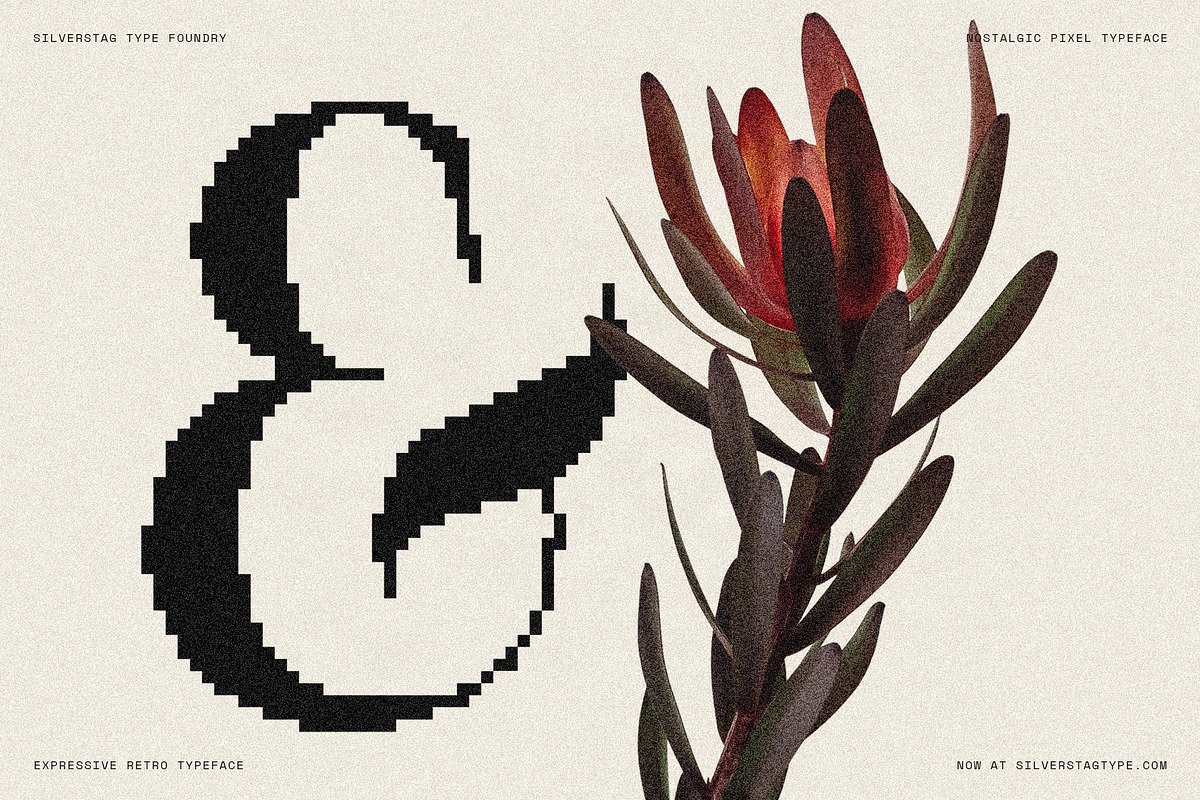 The Silver Editorial Pixel Version, a Serif Font by SilverStag Type Foundry (Photo 2 of 20)