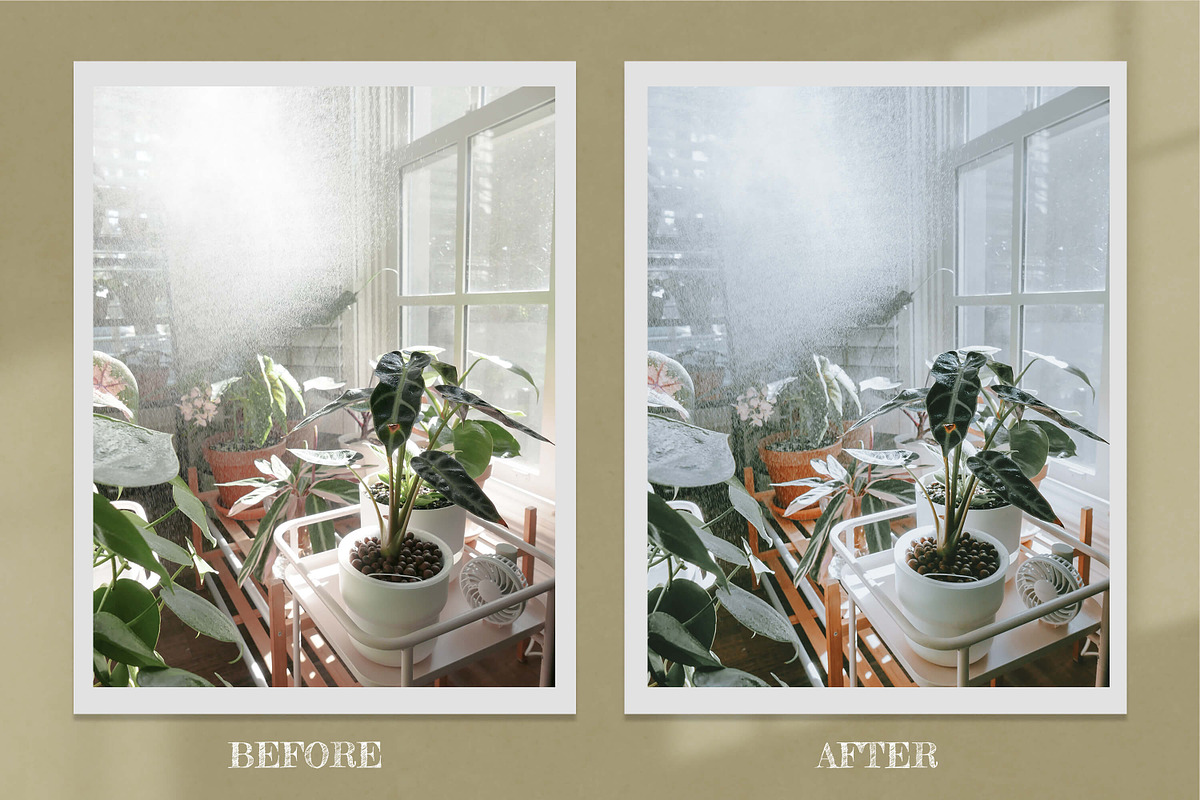 Moody Lightroom Presets Ps ACR LUTs, an Action Add-On by 3Motional (Photo 6 of 11)