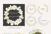 Watercolor and sketch daffodils, a Decorative Illustration by TatiArti (Thumbnail 9 of 13)
