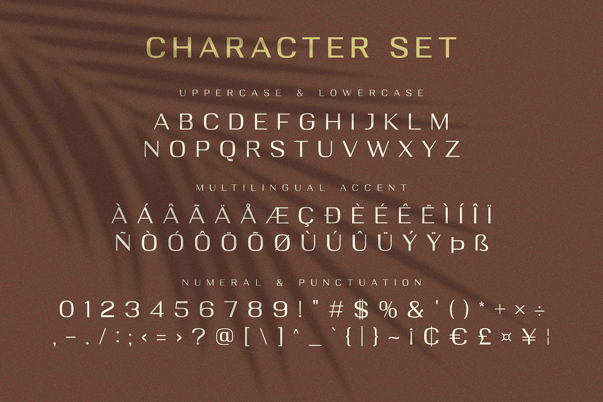 DELOIRE - Modern & Luxury Sans, a Sans Serif Font by Almarkhatype (Photo 9 of 10)