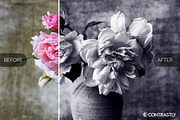 Vintage Film Photoshop Actions preview 4