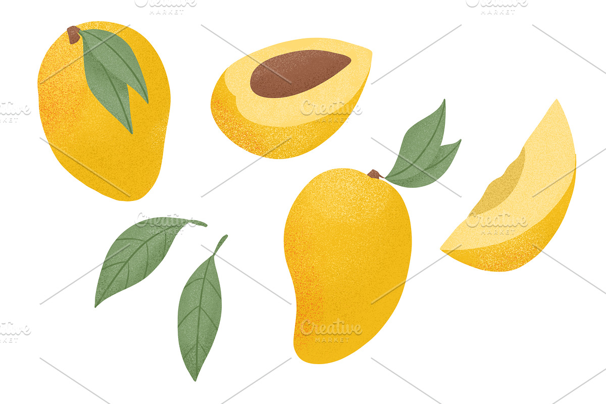 Mango hand drawn clip art, a Food Illustration by Thkatefox (Photo 4 of 6)