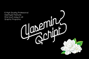 Yasemin, a Script Font by BULENT YUKSEL (Thumbnail 6 of 11)