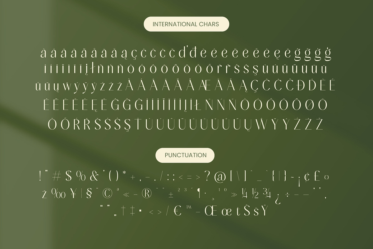 Mugia Elegant Modern Display Font, a Sans Serif Font by timelesstype.co (Photo 19 of 20)
