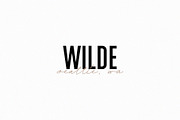 Bastille Modern Font Duo, a Sans Serif Font by Jen Wagner Co (Thumbnail 5 of 11)