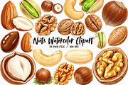 Nuts Watercolor Clipart, an Illustration by Libby Wishes (Thumbnail 1 of 6)