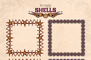 Shells, an Animal Illustration by Ink Stories (Thumbnail 13 of 21)