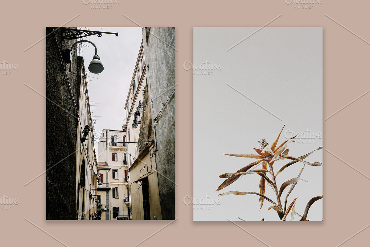 Lifestyle Bundles Collection 5, a Beauty & Fashion Photo by Floral Deco (Photo 41 of 65)