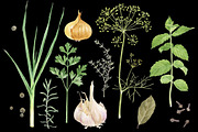 Herbs and spices watercolors, a Healthcare Illustration by handsketched (Thumbnail 4 of 6)