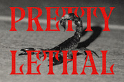 Maleth - A Classic Horror Font, a Serif Font by The Type Fella (Thumbnail 7 of 8)