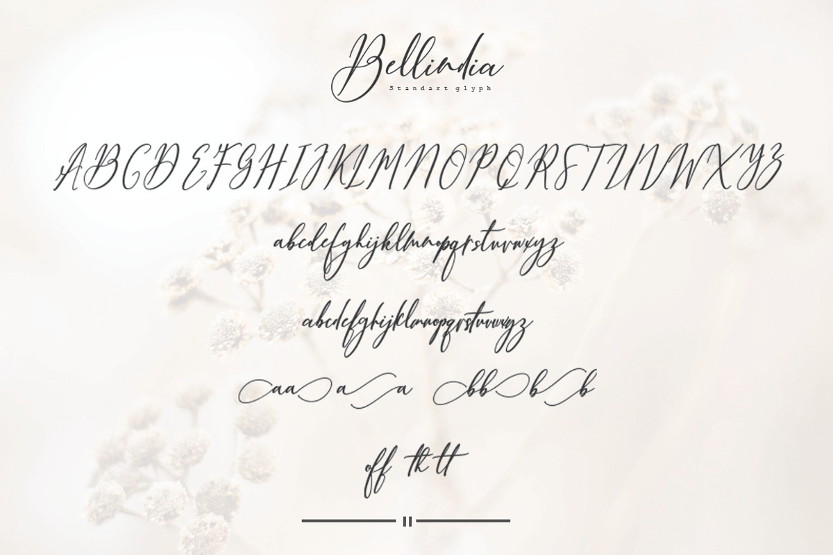 New abdet Bellindia, a Script Font by mightype (Photo 11 of 13)