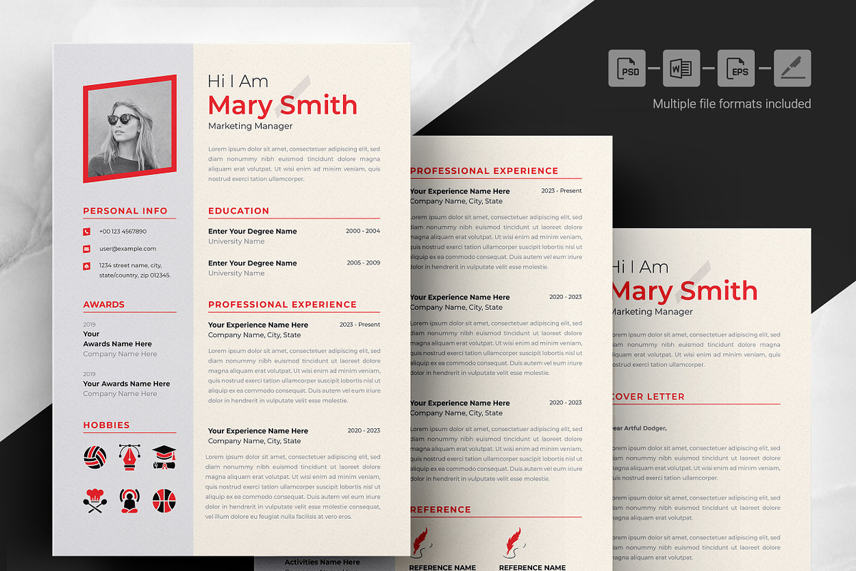 Professional CV for Job Seekers preview 4