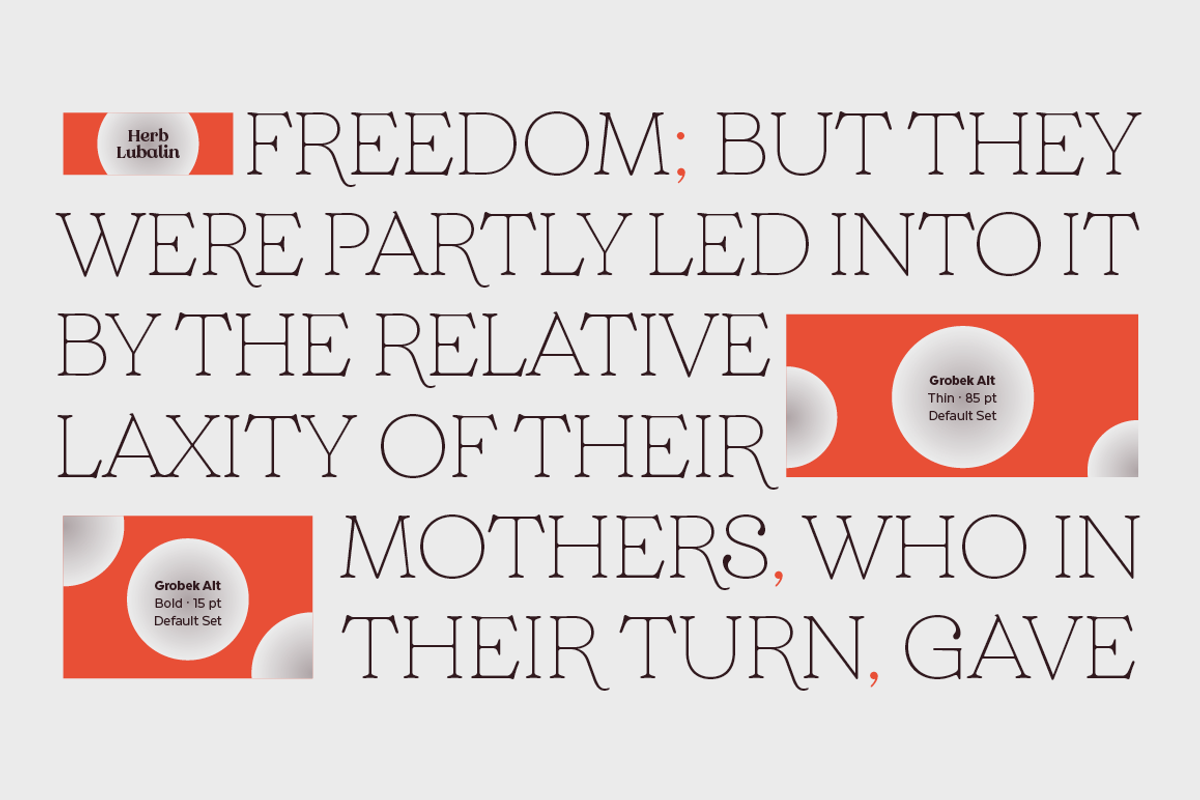 Grobek, a Serif Font by Latinotype (Photo 4 of 15)
