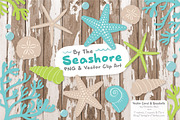 Fresh Vector Seashells, an Illustration by Amanda Ilkov (Thumbnail 2 of 5)