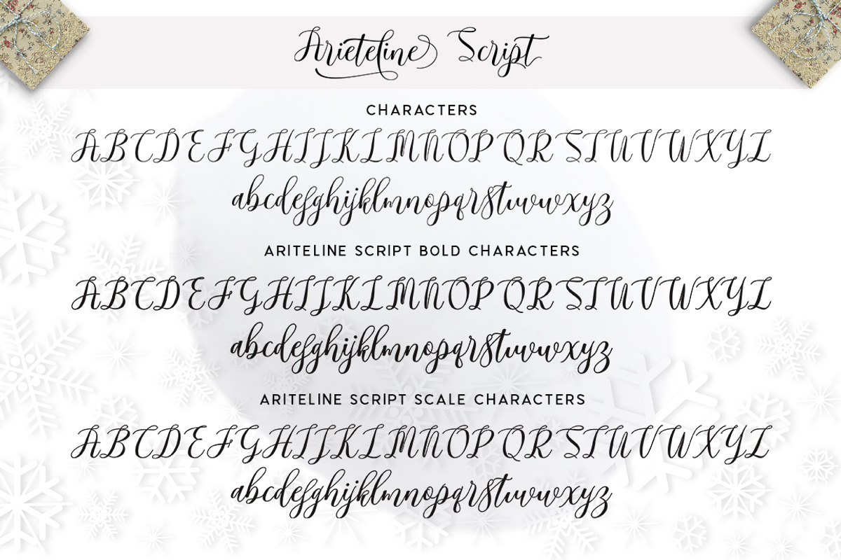 Arieteline Script, a Script Font by Zane Studio (Photo 7 of 8)
