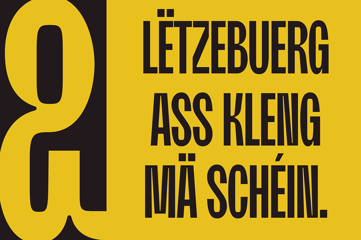 Moldin - Condensed Sans Serif Font, a Sans Serif Font by Zarma Type (Photo 6 of 12)