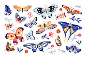 Pretty exotic butterflies, moths set, an Animal Illustration by Good Studio (Thumbnail 3 of 7)