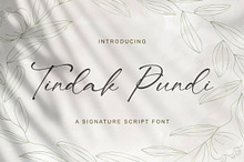 Tindak Pundi - Signature Script Font