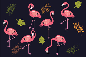 Flamingo Tropical Bird Letter Vector