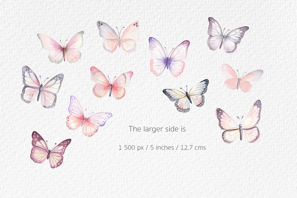 Watercolour Butterflies and Flowers, an Illustration by Lemon design (Photo 2 of 17)