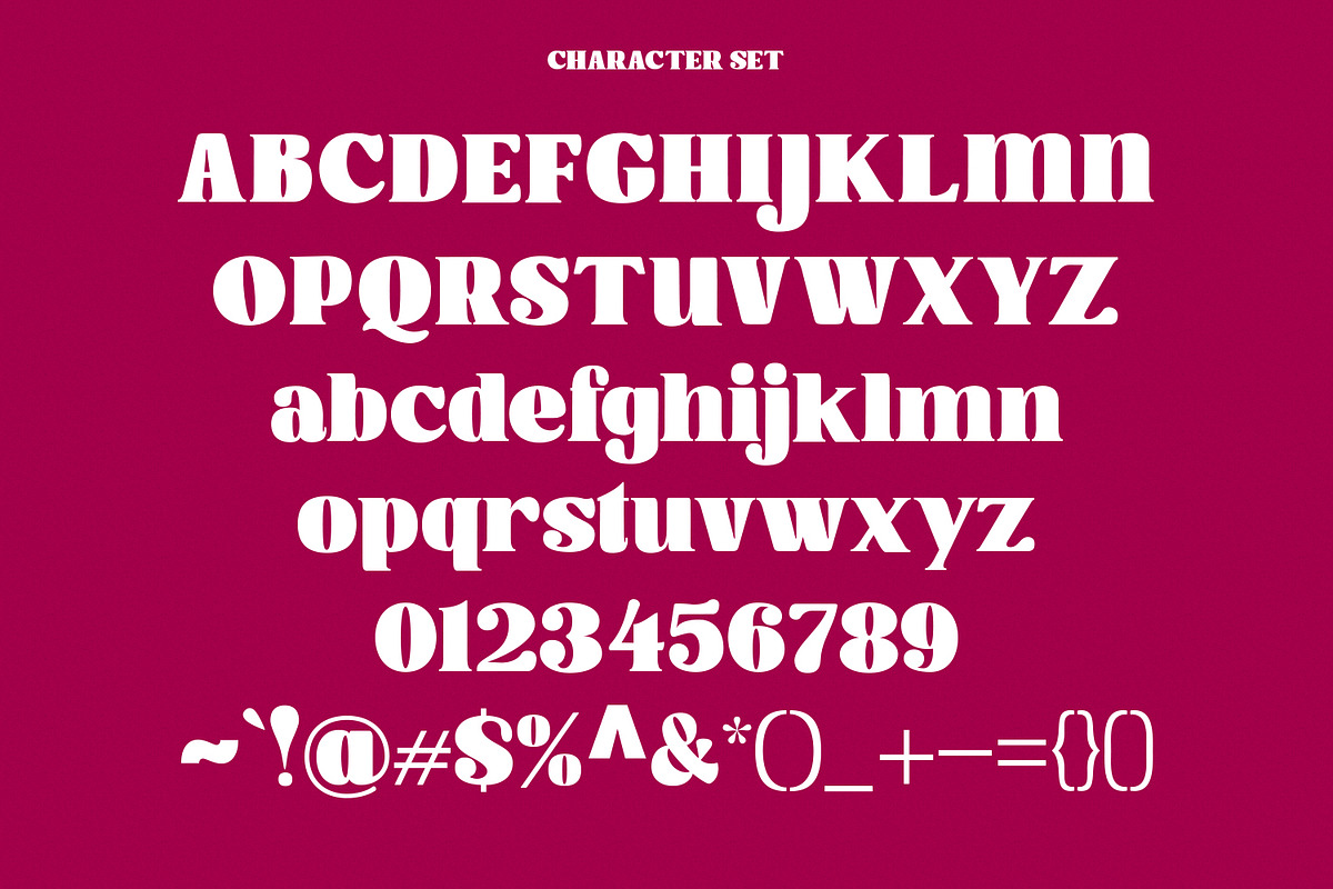 Calter Serif Bold Display Font, a Serif Font by Maulana Creative (Photo 8 of 8)