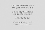 Juliette Duo Typeface, a Serif Font by Schrifted Type (Thumbnail 8 of 9)