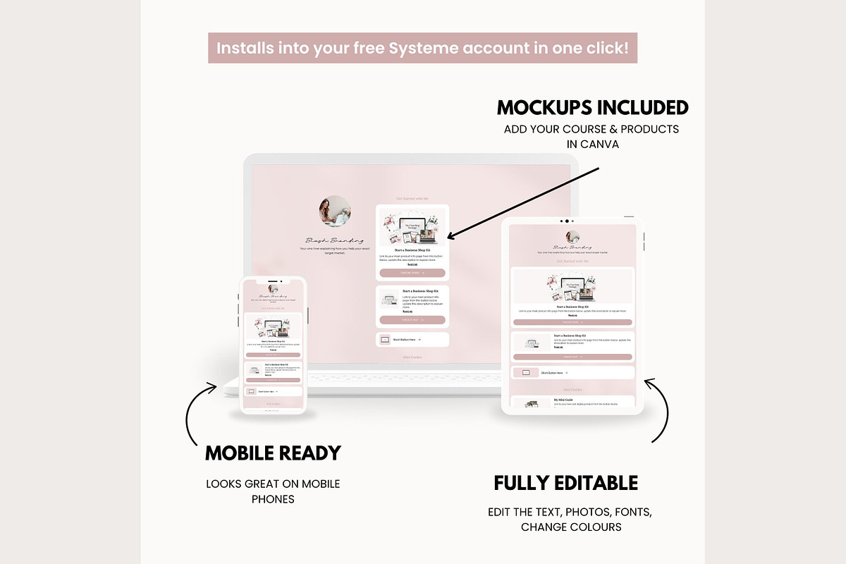 Systeme.io Blush Link in Bio, a Landing Page Template by Hayley's Digital Hub (Photo 4 of 10)