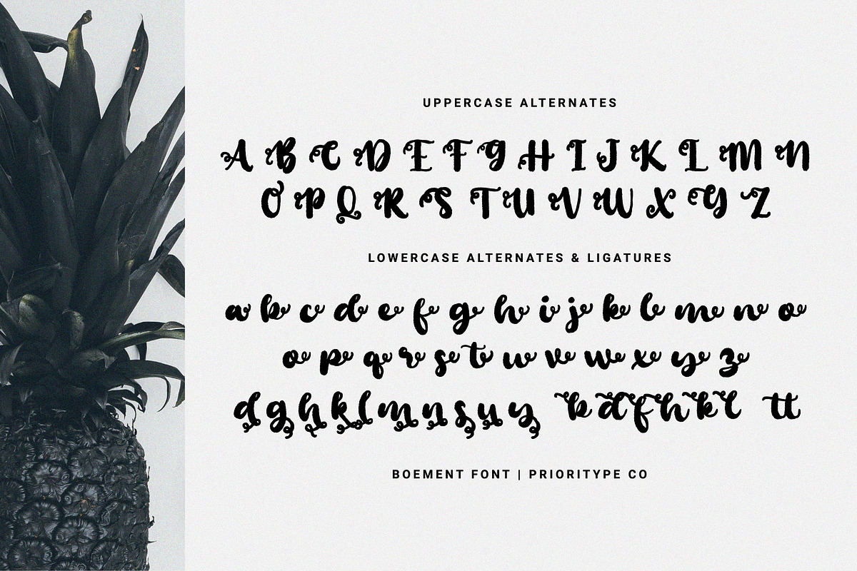 Boement - Chic Script Font, a Script Font by Prioritype Co (Photo 11 of 11)