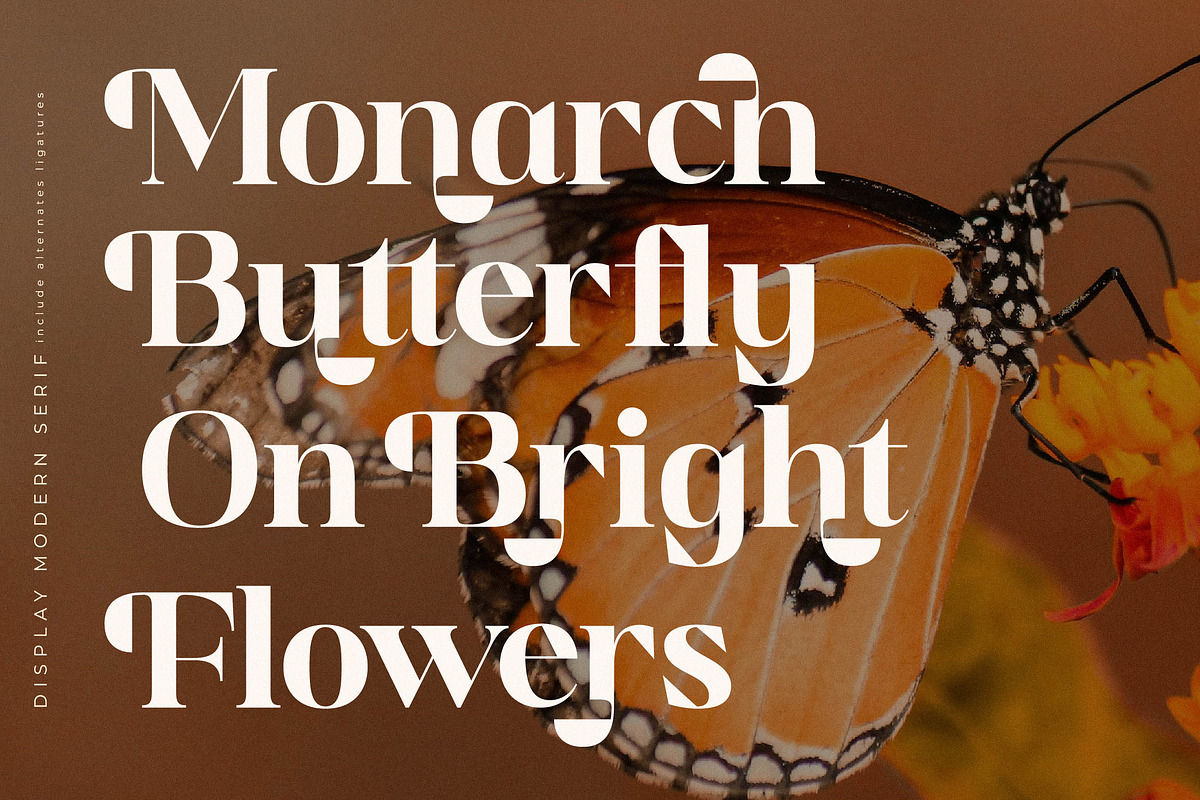 Golfah Marika A New Modern Serif, a Serif Font by Storytype Studio (Photo 10 of 15)