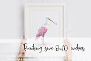 Roseate Spoonbill - Watercolor Print, an Illustration by Tati Bordiu (Thumbnail 3 of 4)