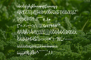 Broccoli script, a Font by Rashdrawn (Thumbnail 2 of 3)
