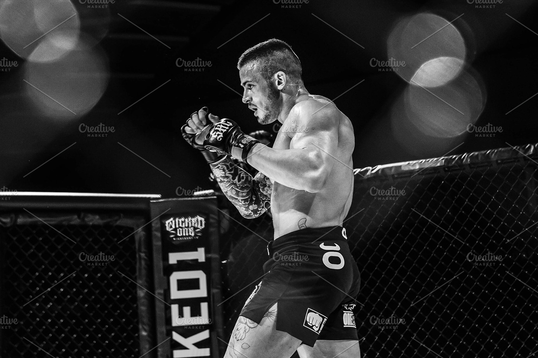 Ready stock photo containing mma and sports, a Sports & Recreation Photo by SarahJ