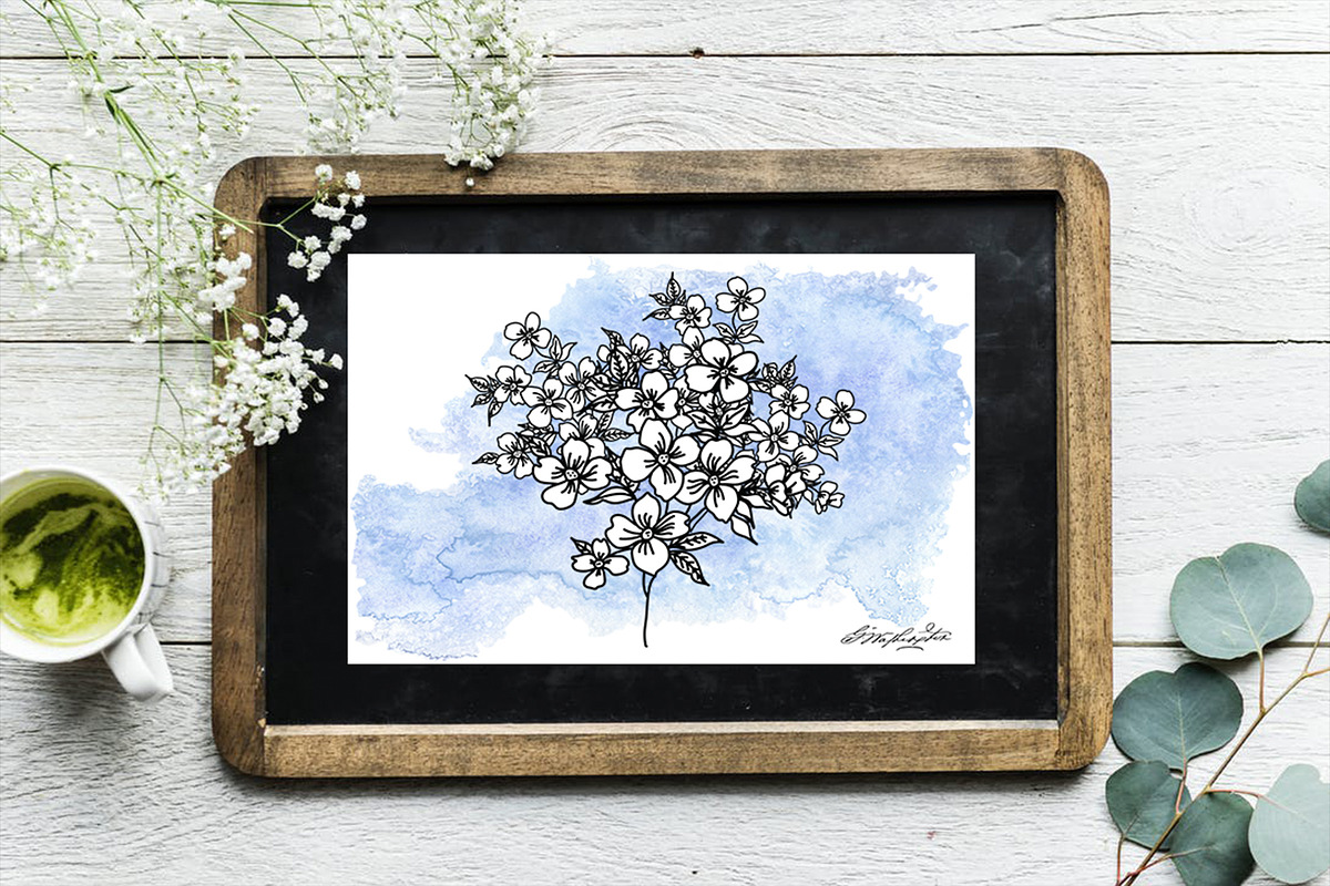Hand Drawn Botanical Elements, a Decorative Illustration by Pixavics (Photo 4 of 11)