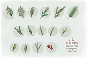 Pine Bough Elements, an Illustration by KLUGE+CO (Thumbnail 2 of 6)