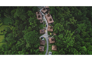 Traditional village immersed in lush, an Architecture Photo by Goinyk
