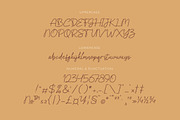 Faugllin Balseyn | Handwritten Font, a Script Font by gracetype_studio (Thumbnail 11 of 13)