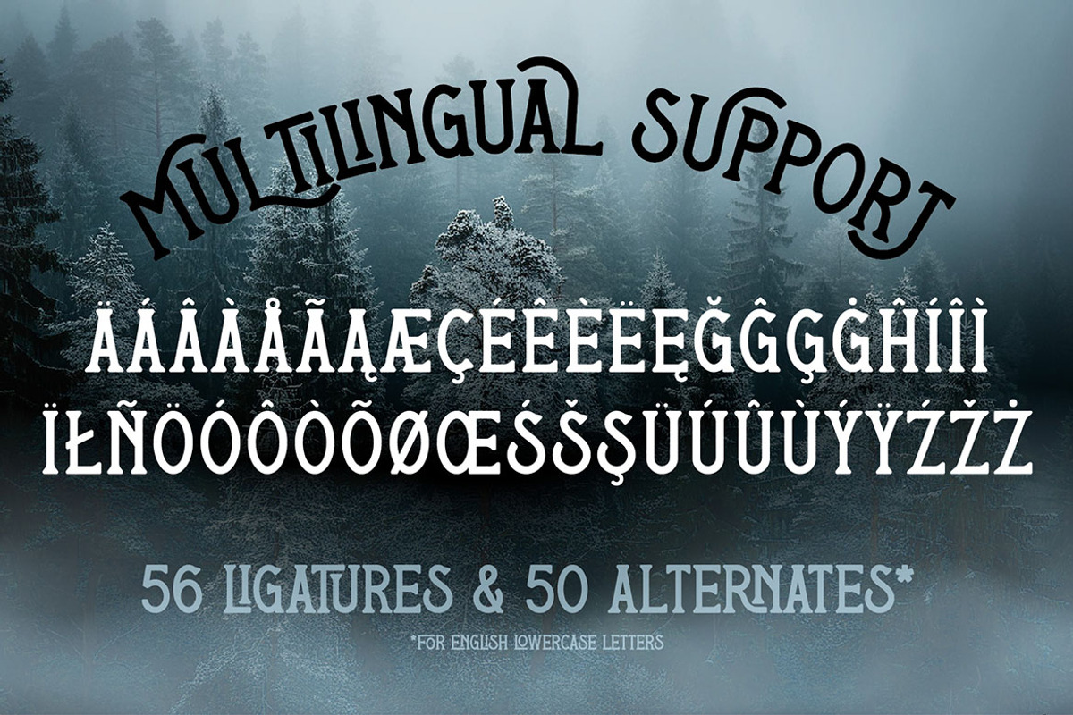 Nothern Woods Vintage Label Font, a Serif Font by JumboDesign (Photo 6 of 6)