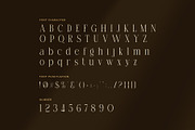 Band Elegant Swash Serif Font, a Serif Font by Perfectype (Thumbnail 7 of 8)