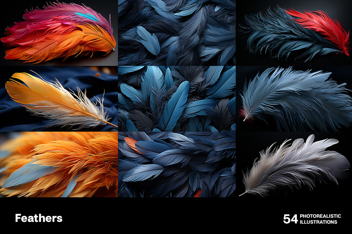 Feathers. 54 images, an Animal Illustration by Handmadefont (Photo 6 of 12)