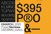 Uncmmn Nominee Sans Serif 21 Style, a Font by Kotivoro (Thumbnail 29 of 30)