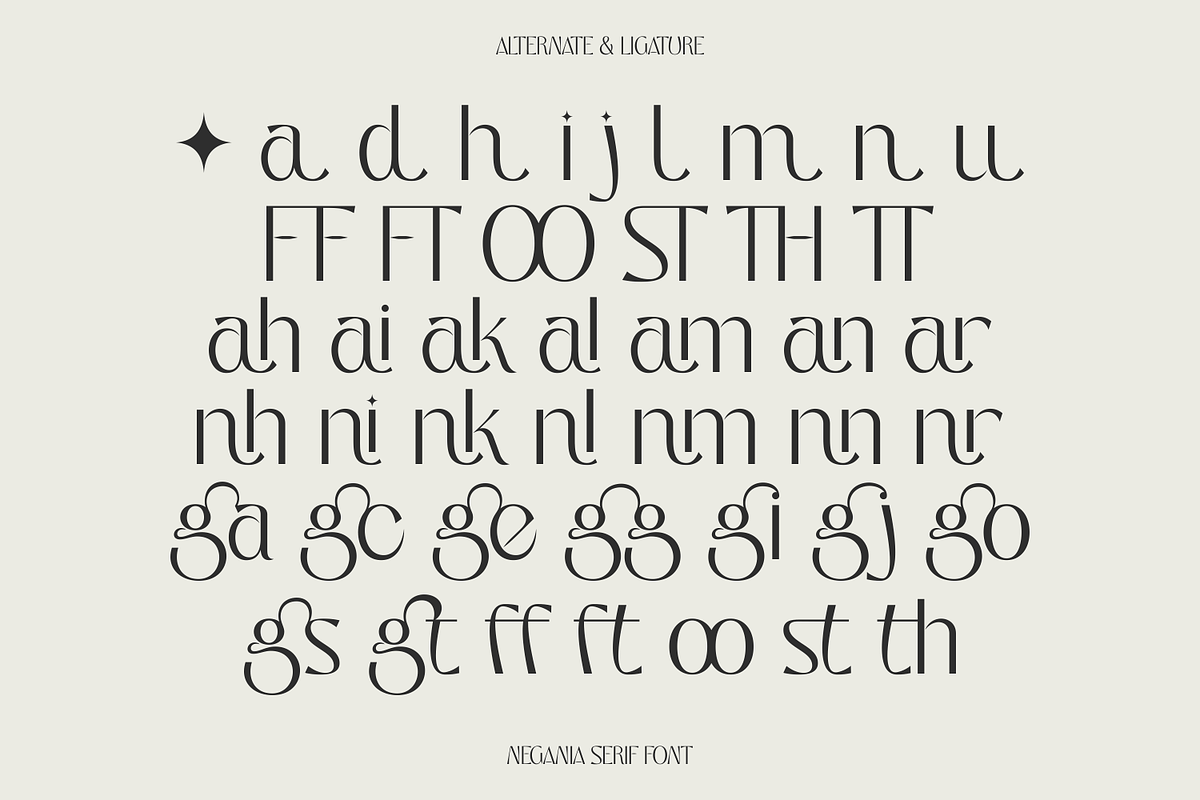 Negania – Stylish Modern Serif, a Serif Font by Morand Union (Photo 5 of 6)